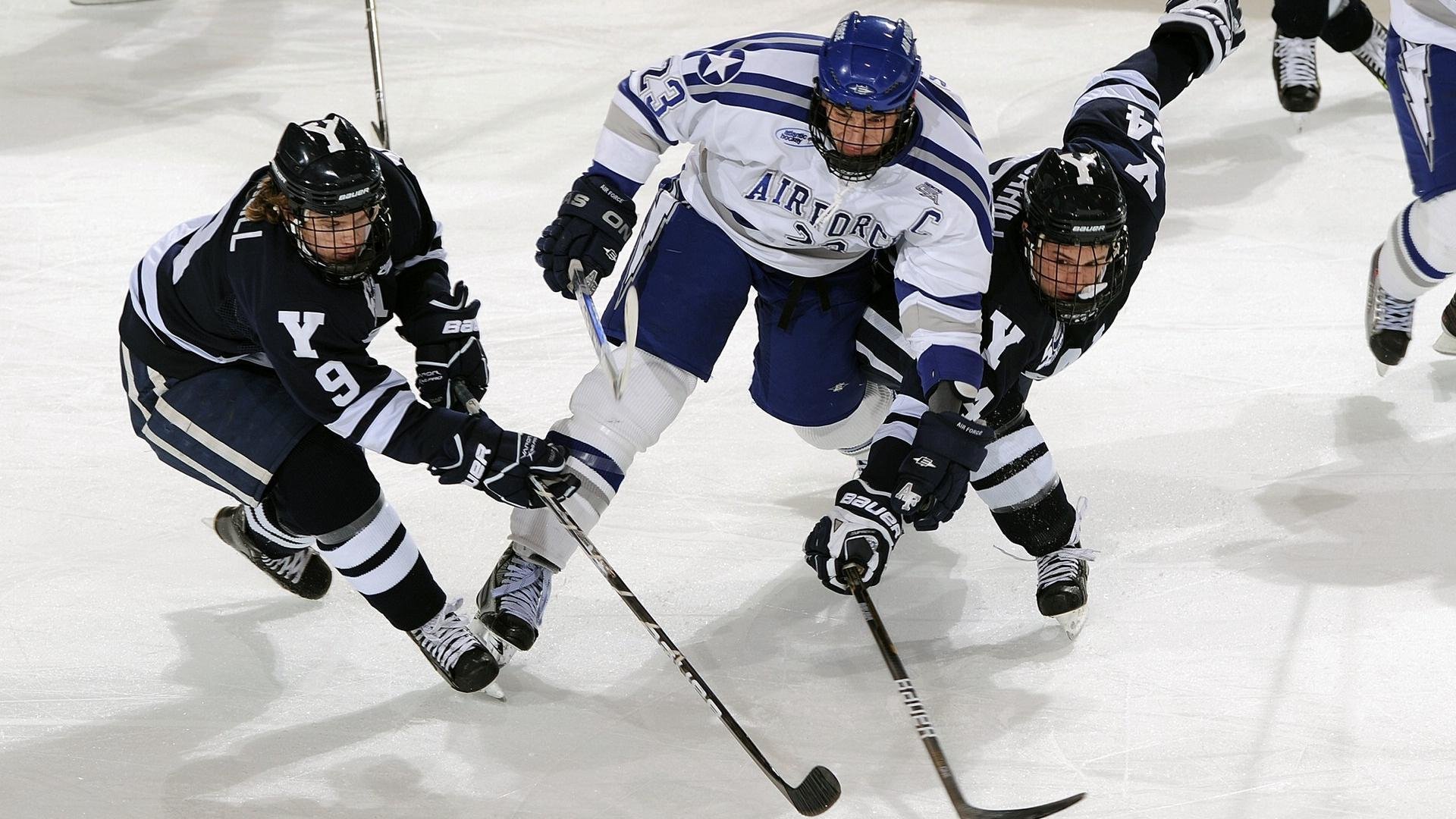 _鹈鹕务实应战，逐渐夺得胜机_，鹈鹕秒懂